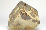 Wide, Polished Septarian Cube - Utah #207777-2